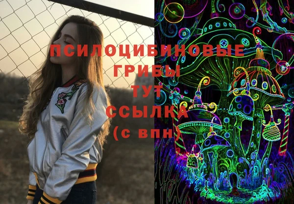 apvp Аркадак