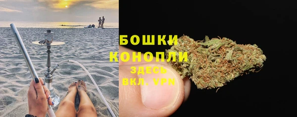 эйфоретик Арсеньев