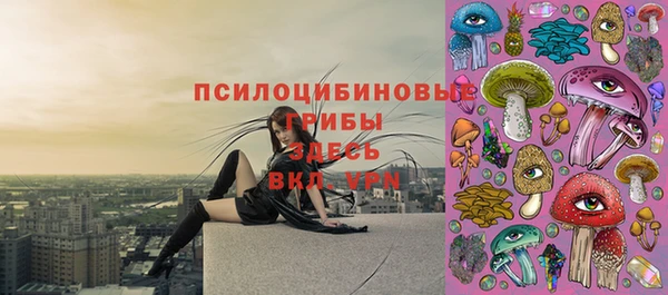 apvp Аркадак